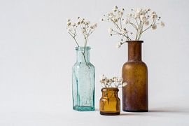 Three antique vases on white background with sprigs of dried gypsophilia. Minimalist image with retr by Marjolein Hameleers