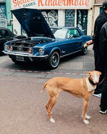Klassischer Mustang auf der Straße von Mohit Hambiria
