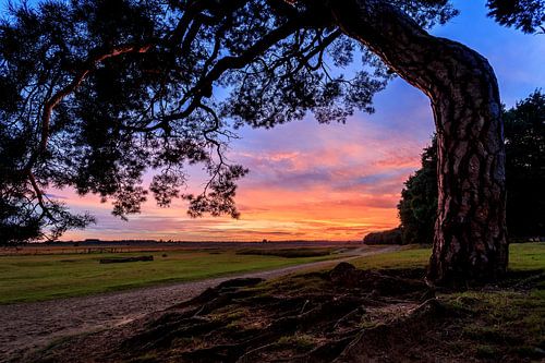 Ginkelse Heide Zonsondergang 2 by Joram Janssen