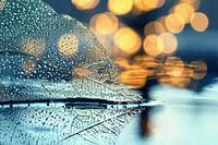 Macro - Fragile