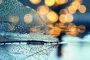 Macro - Fragile