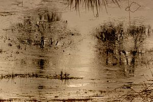 Natur in Gold