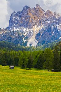 Frühling in den Dolomiten