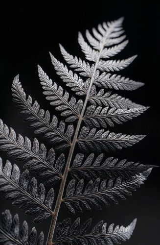 Feuille d'argent