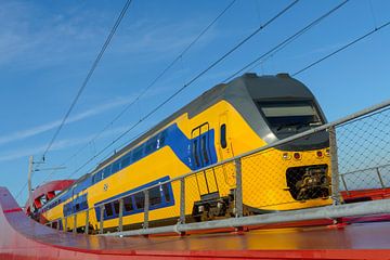 NS intercity trein op de Hanzeboog brug bij Zwolle