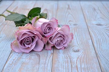 Oud roze rozen op een vintage houten achtergrond van Trinet Uzun