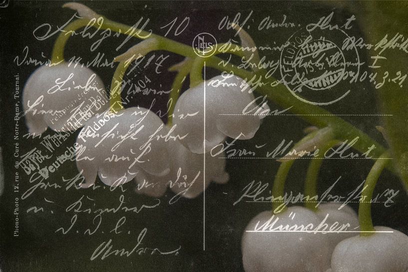 Field Post May 1917 by Christine Nöhmeier