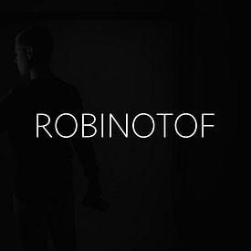 Robinotof Profile picture
