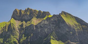 Schneck, Allgäuer Alpen van Walter G. Allgöwer