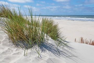 les dunes sur Marjo Snellenburg