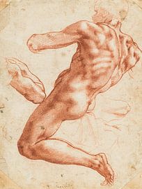 Michelangelo Buonarroti, Sitzender männlicher Akt, 1511 von Teylers Museum