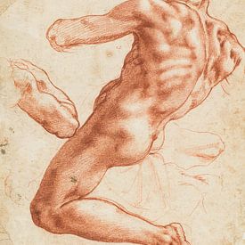 Michelangelo Buonarroti, Zittend mannelijk naakt, 1511 van Teylers Museum