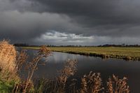 Polder landscape