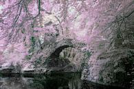 Photo of a castle - infrared photography by Joriali photography and paintings thumbnail