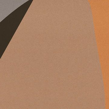 Abstracte organische en geometrische vormen nr. 9 van Dina Dankers