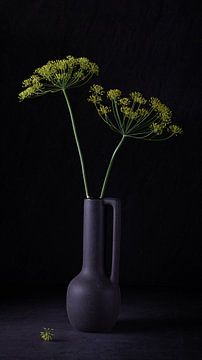 Still life, Dill (Anethum Graveolens) by Oda Slofstra