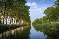 Une journée d'été sur le canal Damse Vaart