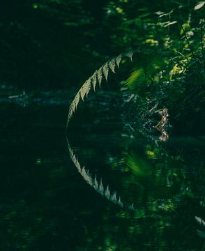 Gewoon het water aanraken van Laurens Schipper