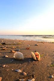 Baltic Sea at sunrise by Thomas Jäger