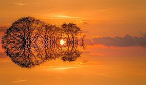 Zonsondergang en kleurenweerspiegeling van bomen van Harrie Muis