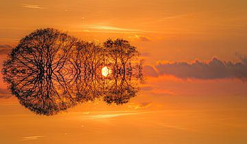 Zonsondergang en kleurenweerspiegeling van bomen