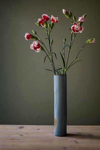 Red Carnations