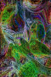 Fondali by Helmut Licht