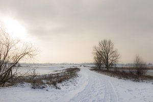 Schneelandschaft bei Nimwegen