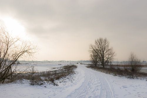 Sneeuwlandschap bij Nijmegen