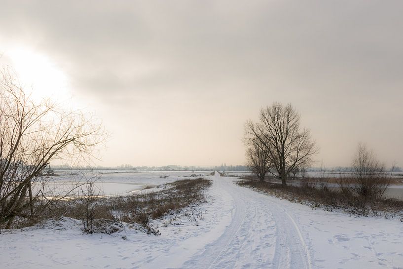 Sneeuwlandschap bij Nijmegen van Patrick Verhoef