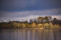 Colours by Mother Nature