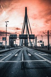 Der Untergang von Ton Kool