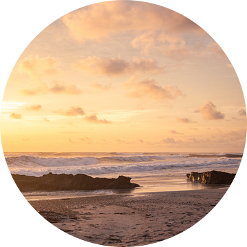 Santa Teresa Costa Rica van Raisa Zwart Reisfotografie Prints