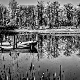 Boot auf dem Teich von Joel Houbrigts