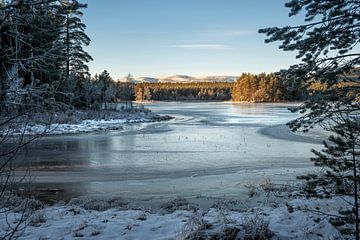 Frozen world. van Marco Lodder