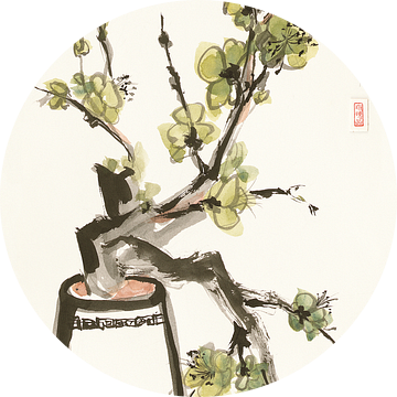 Moss Blossom, Chris Paschke (gezien bij vtwonen) van Wild Apple