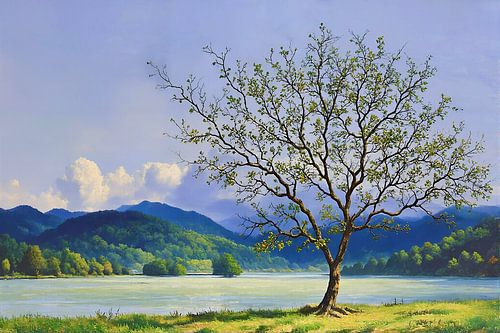 Schilderachtig landschap Azoren, São Miguel