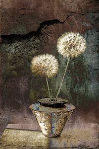 Nature morte aux fleurs.  Fluff balls Tough Industrial