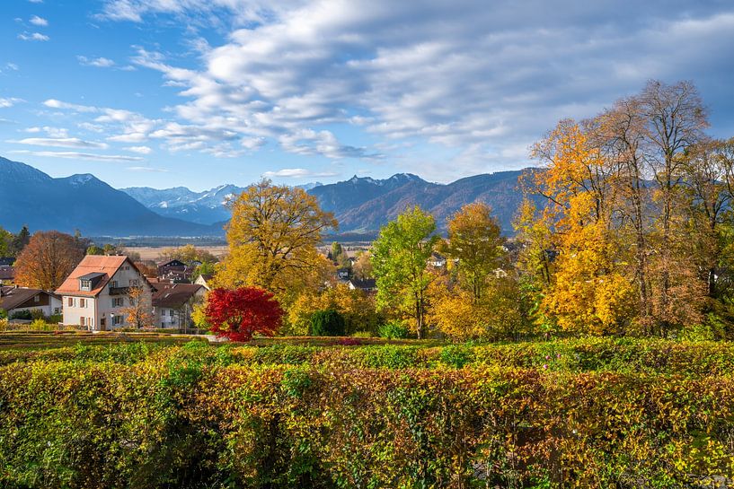 Autumn landscape in Munrau with a view of the Alps by ManfredFotos