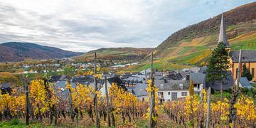Senheim on the Moselle by Hanneke Luit