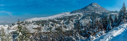 Winter Wonder Land pano