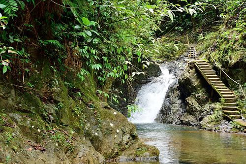 Path towards the waterfall