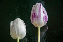 Bloemen op het ijs van Jolanda de Jong-Jansen
