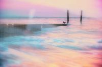 Sea of Pink