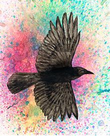 Vliegende kraai van Bianca Wisseloo