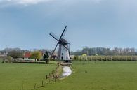 Mühle auf einer Wiese bei Lienden von Moetwil en van Dijk - Fotografie Miniaturansicht