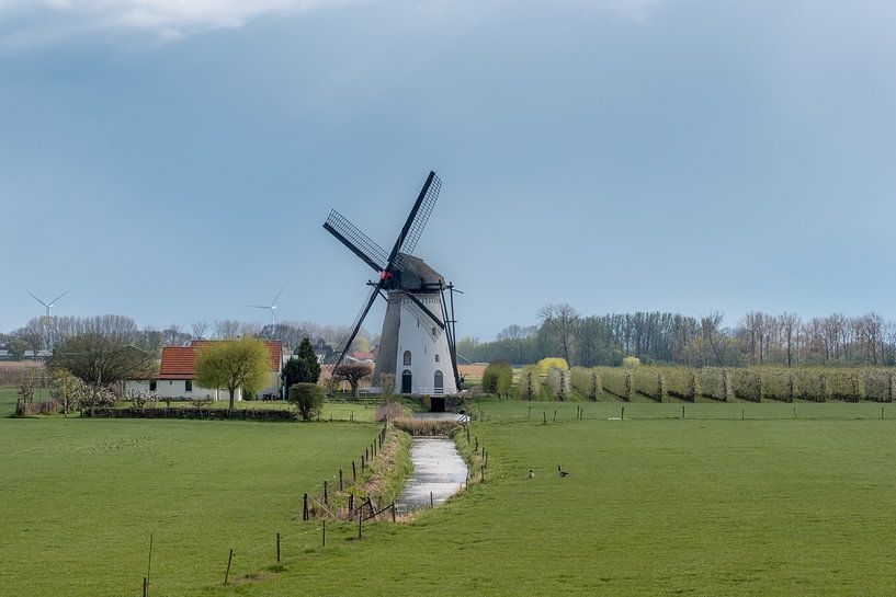 Mühle auf einer Wiese bei Lienden von Moetwil en van Dijk - Fotografie