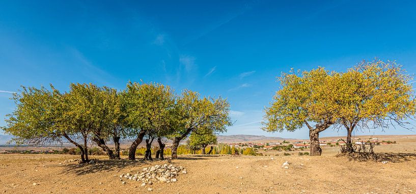 Ehrengarde von Roland's Foto's