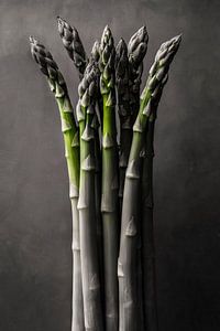 Le silence vert