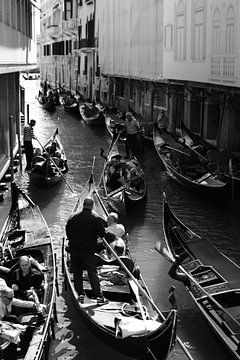 Das Herz der Lagune von Nordlicht Atelier